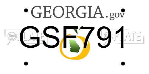 GSF791 Georgia License Plate