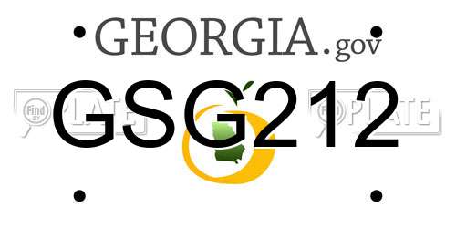 GSG212 Georgia License Plate