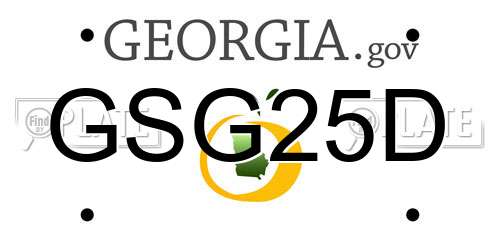 GSG25D Georgia License Plate
