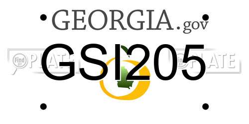 GSI205 Georgia License Plate