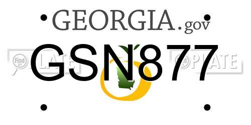 GSN877 Georgia License Plate