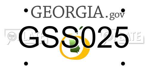 GSS025 Georgia License Plate