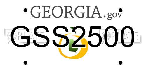 GSS2500 Georgia License Plate