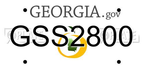 GSS2800 Georgia License Plate