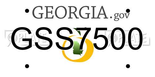 GSS7500 Georgia License Plate