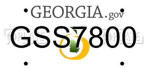 GSS7800 Georgia License Plate