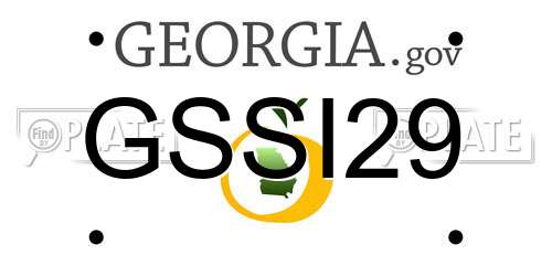 GSSI29 Georgia License Plate