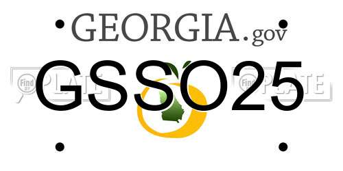 GSSO25 Georgia License Plate