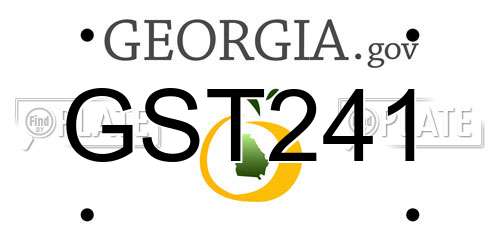 GST241 Georgia License Plate