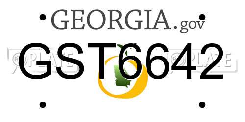 GST6642 Georgia License Plate
