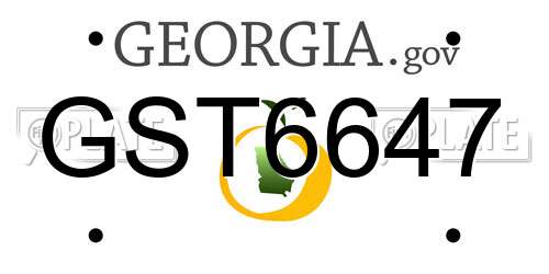 GST6647 Georgia License Plate