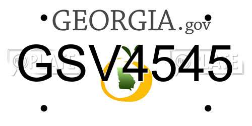GSV4545 Georgia License Plate