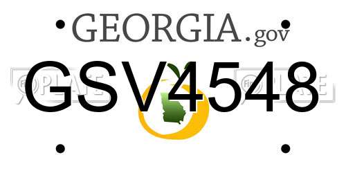 GSV4548 Georgia License Plate