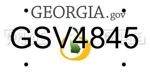 GSV4845 Georgia License Plate