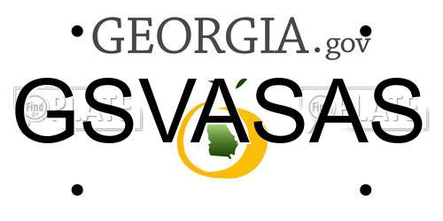GSVASAS Georgia License Plate