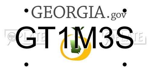 GT1M3S Georgia License Plate