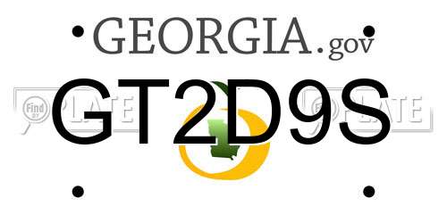 GT2D9S Georgia License Plate