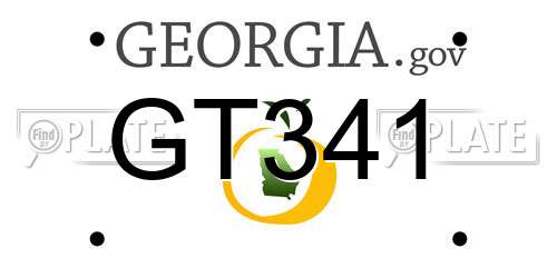 GT341 Georgia License Plate