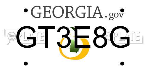 GT3E8G Georgia License Plate