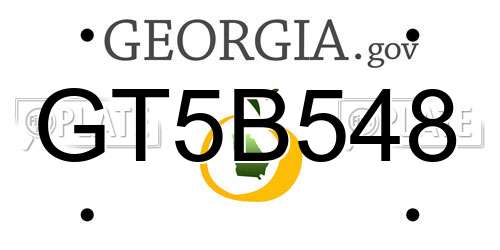 GT5B548 Georgia License Plate