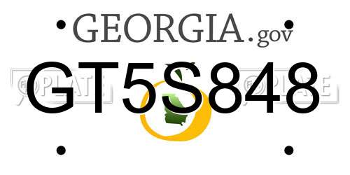 GT5S848 Georgia License Plate