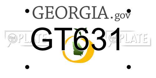 GT631 Georgia License Plate