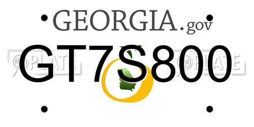 GT7S800 Georgia License Plate
