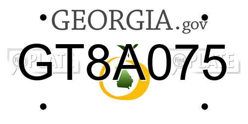GT8A075 Georgia License Plate