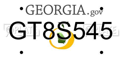 GT8S545 Georgia License Plate
