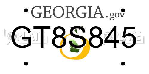 GT8S845 Georgia License Plate