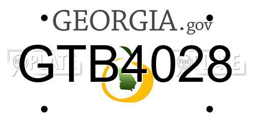 GTB4028 Georgia License Plate