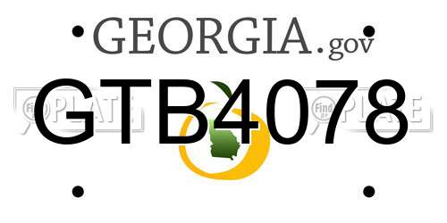 GTB4078 Georgia License Plate