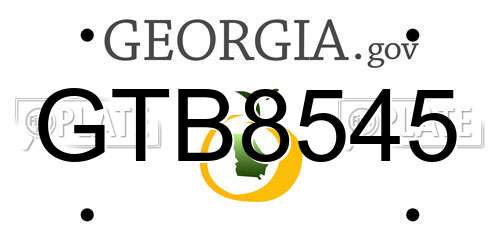 GTB8545 Georgia License Plate