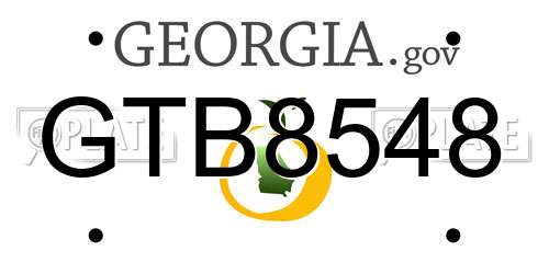 GTB8548 Georgia License Plate