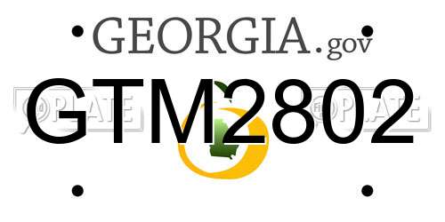 GTM2802 Georgia License Plate