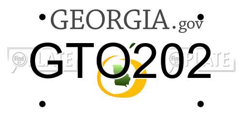 GTO202 Georgia License Plate