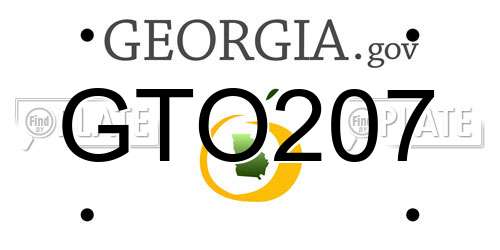 GTO207 Georgia License Plate