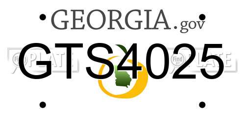 GTS4025 Georgia License Plate