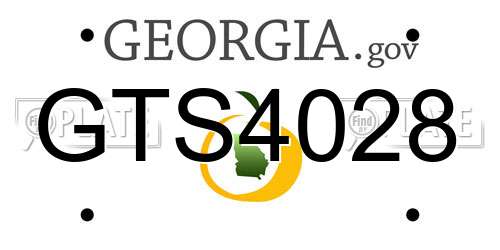 GTS4028 Georgia License Plate