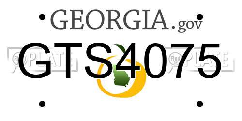 GTS4075 Georgia License Plate