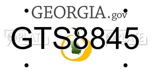 GTS8845 Georgia License Plate