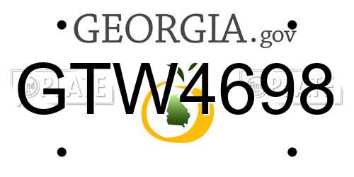 GTW4698 Georgia License Plate
