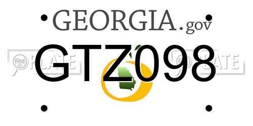 GTZ098 Georgia License Plate