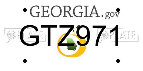 GTZ971 Georgia License Plate