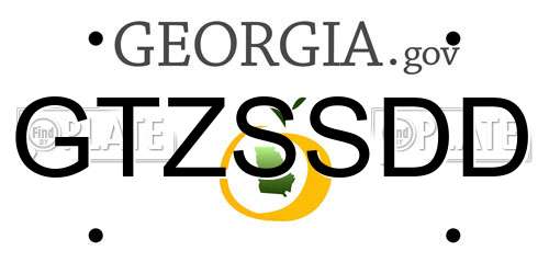 GTZSSDD Georgia License Plate