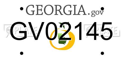GV02145 Georgia License Plate
