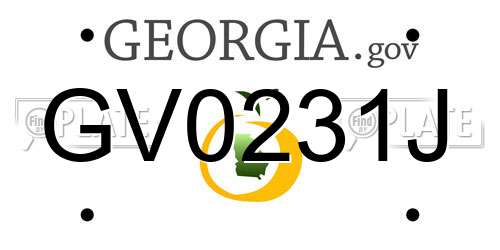 GV0231J Georgia License Plate
