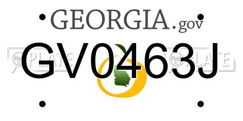 GV0463J Georgia License Plate