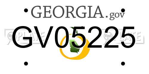 GV05225 Georgia License Plate