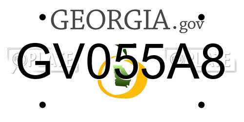 GV055A8 Georgia License Plate